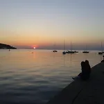 Flori