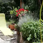 Flori