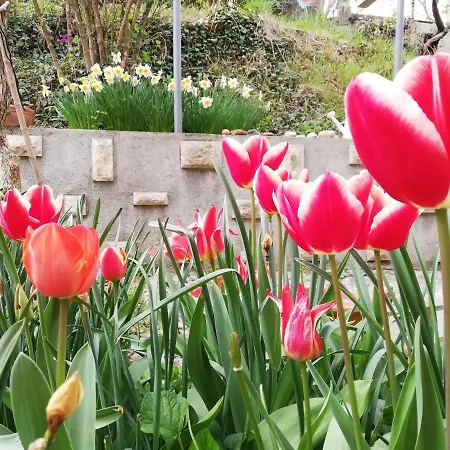 Appartement Flori *