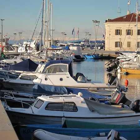 Flori * Koper